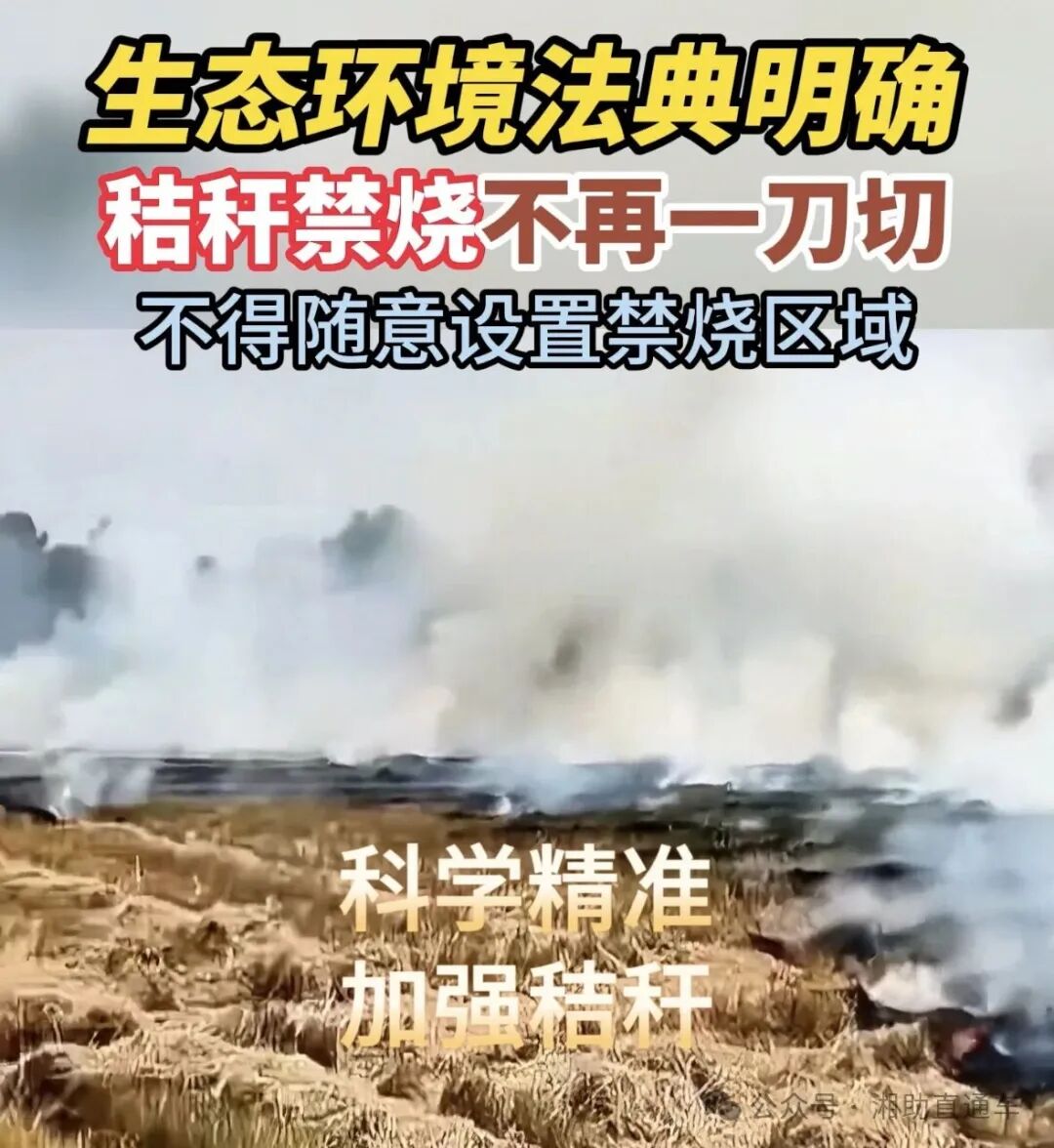 秸秆不再“一刀切”禁烧，那些年只会“一刀切”的专家该醒醒了